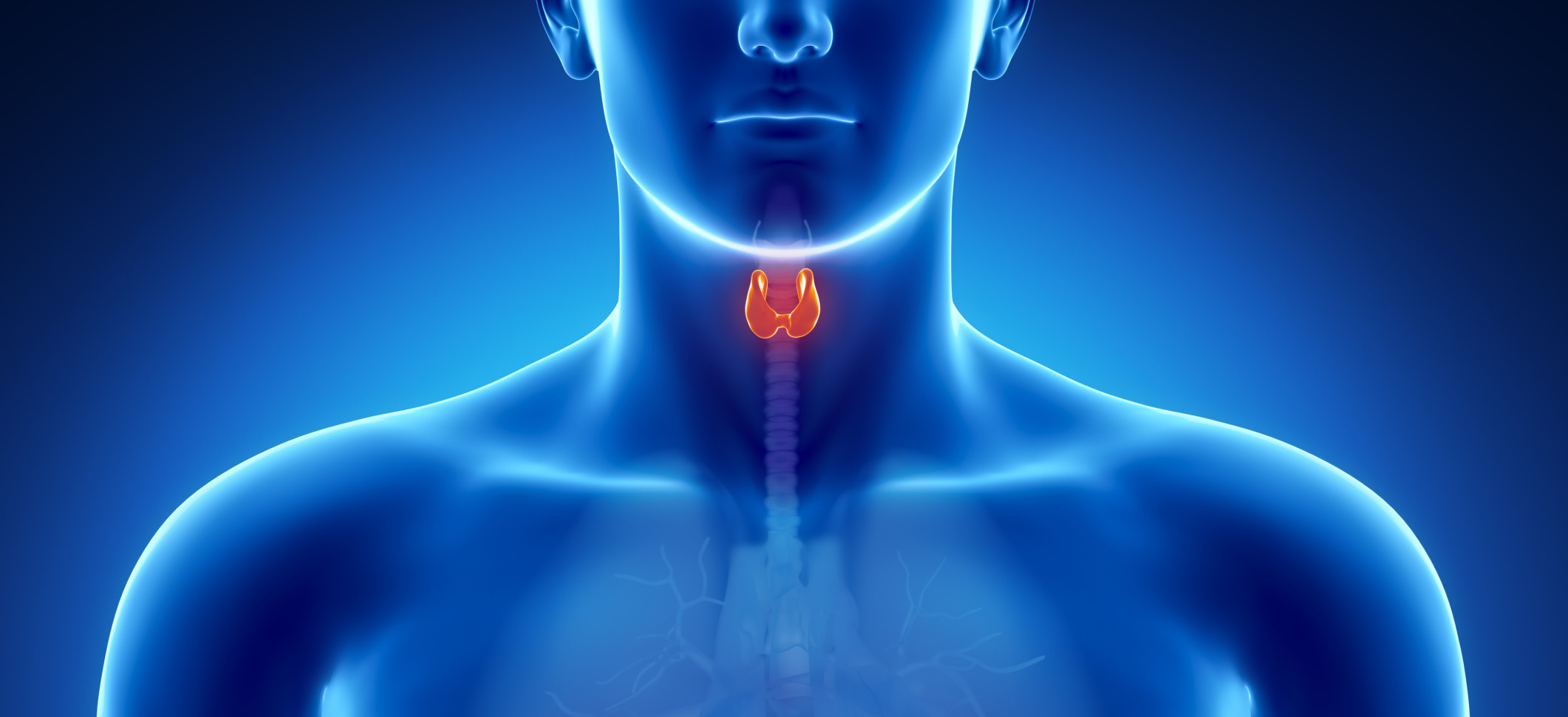 Endocrinology